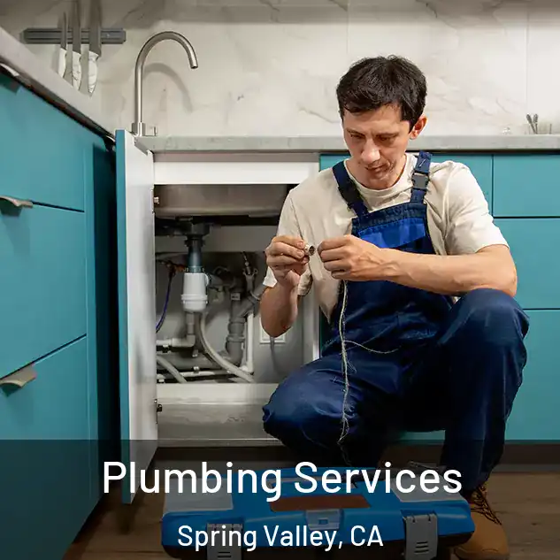  Plumbing Services Spring Valley, CA